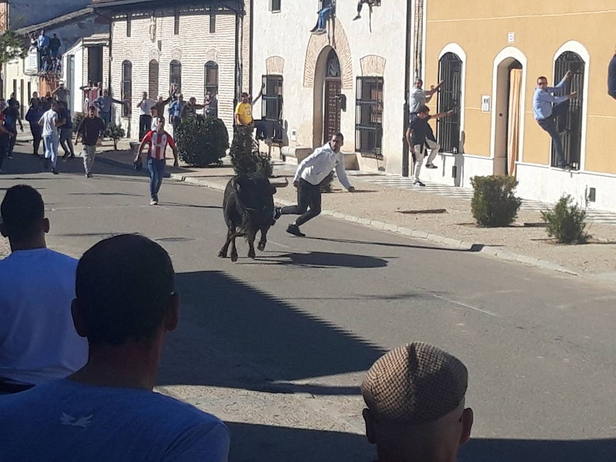 Fotos: Toro del Sarmiento en La Seca