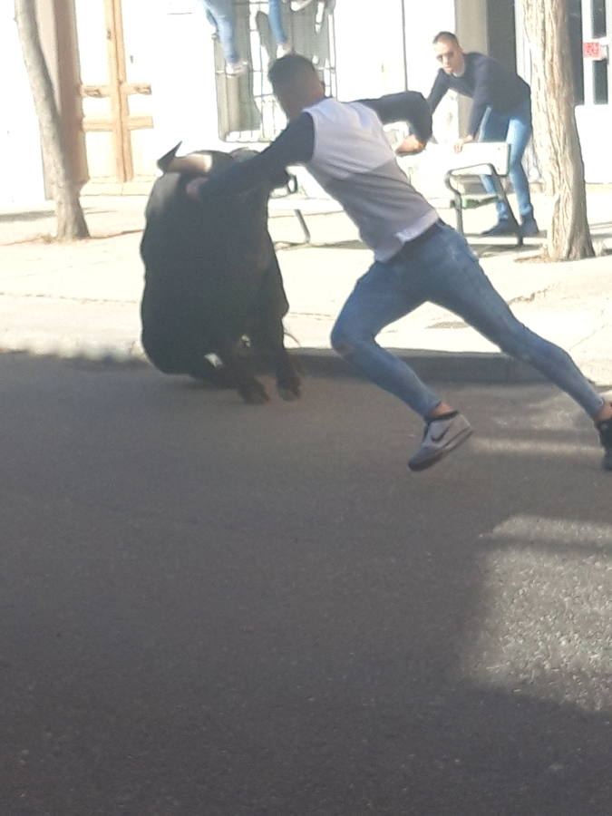 Fotos: Toro del Sarmiento en La Seca