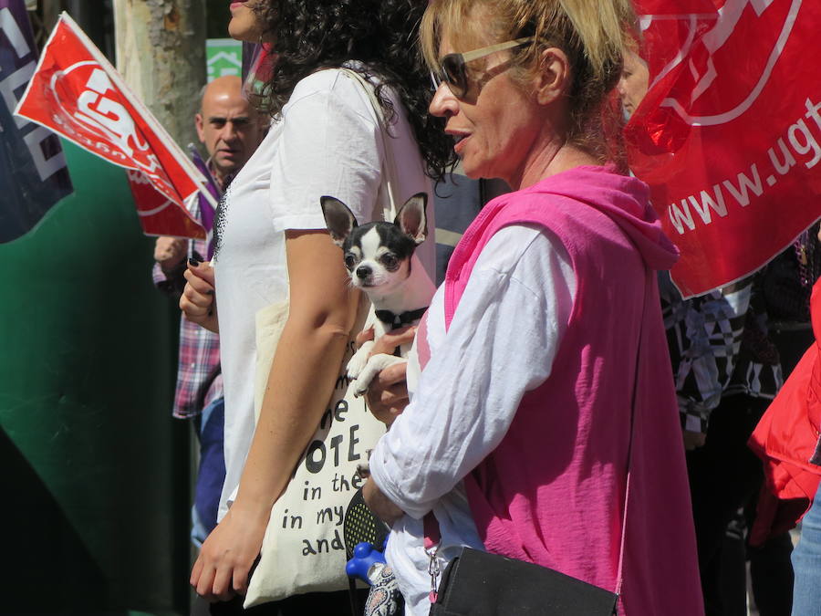 Sindicatos, partidos políticos y colectivos salen a la calle en León capital este 1 de Mayo para celebrar y reivindicar en el Día del Trabajador, con esperanza en la victoria socialista pero con recelos sobre posibles pactos con el liberalismo