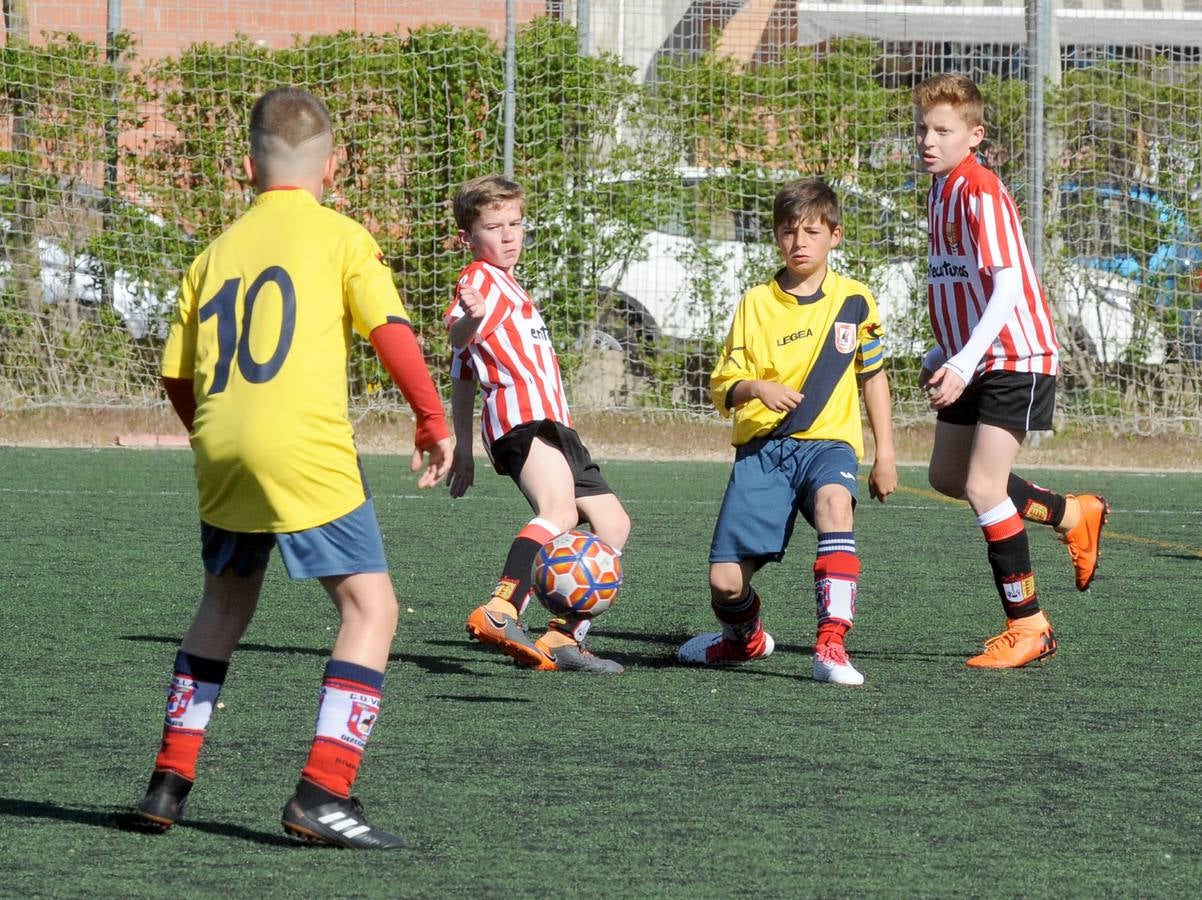 Fotos: Deporte Base del 27 y 28 de abril. Valladolid