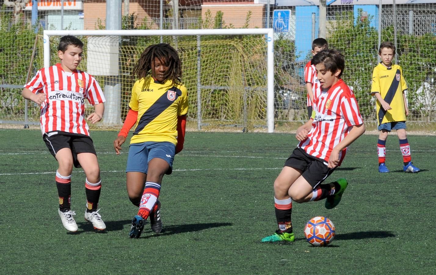 Fotos: Deporte Base del 27 y 28 de abril. Valladolid