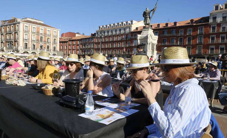 Fotos: Jornada del sábado por la tarde de &#039;Valladolid, Plaza Mayor del Vino&#039;