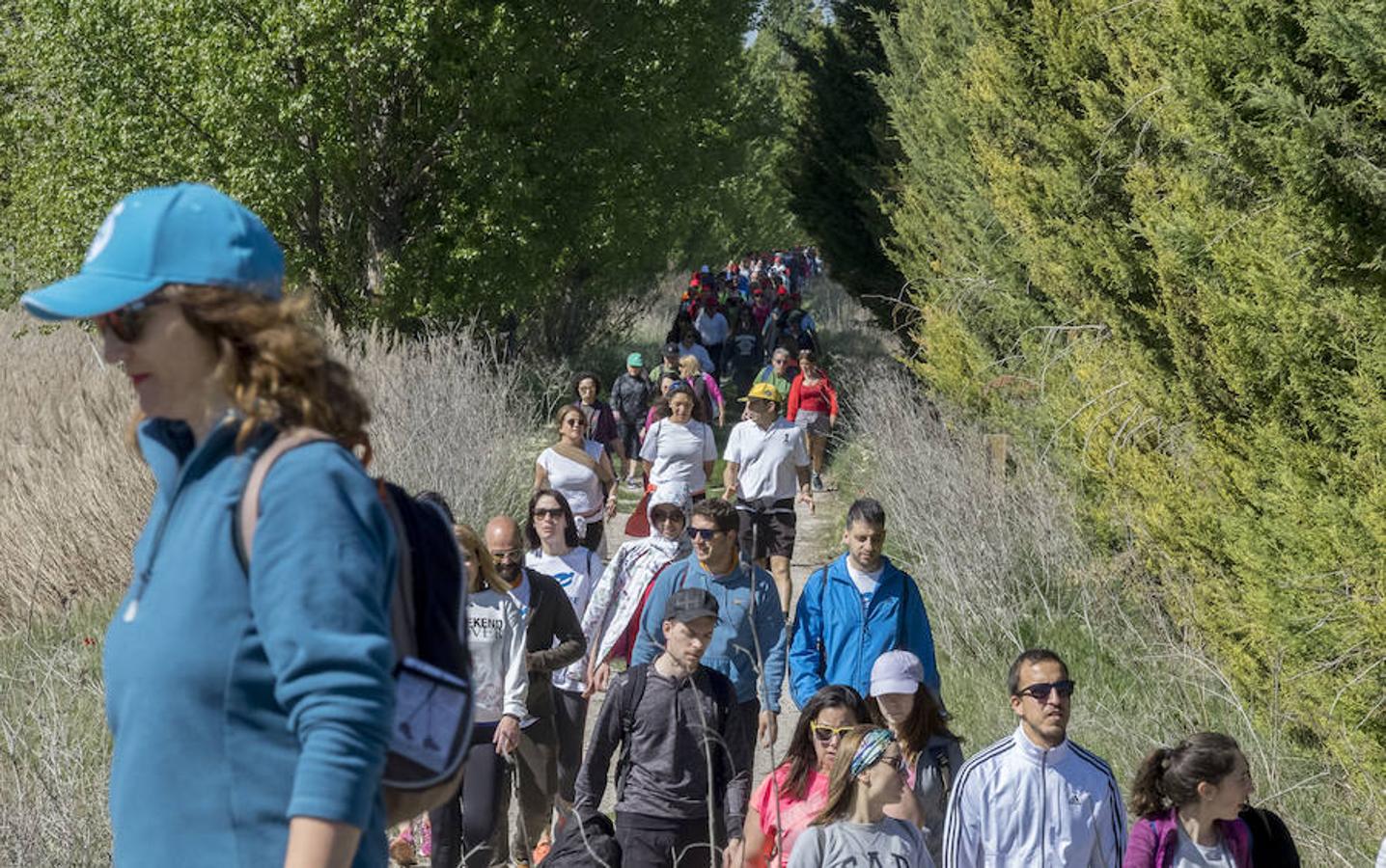 Participantes en la 42 edición de la Marcha Asprona en Valladolid