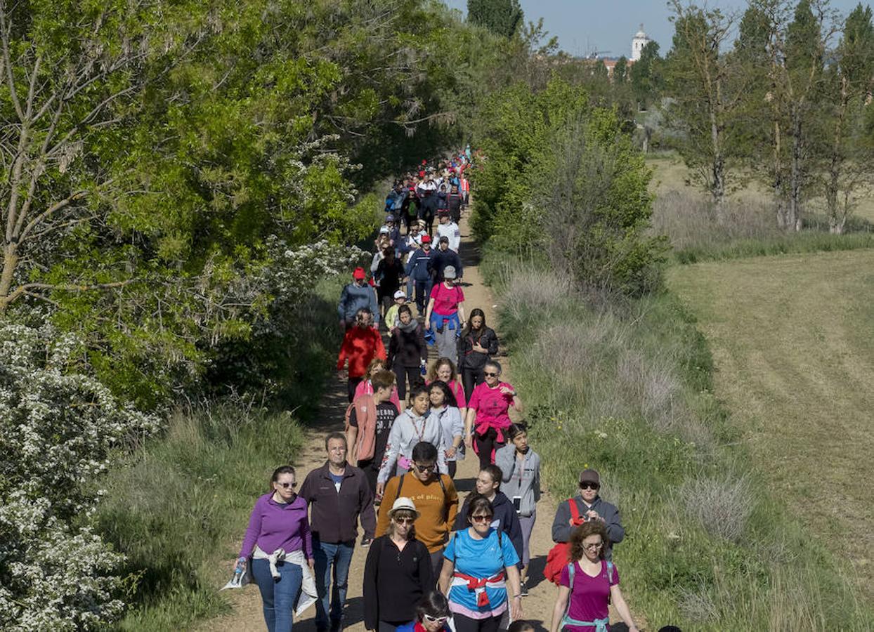 Participantes en la 42 edición de la Marcha Asprona en Valladolid