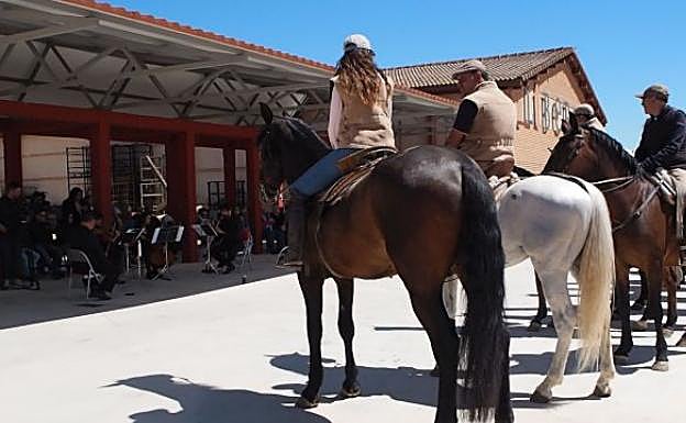 Caballos, durante el concierto en Liberalia. 