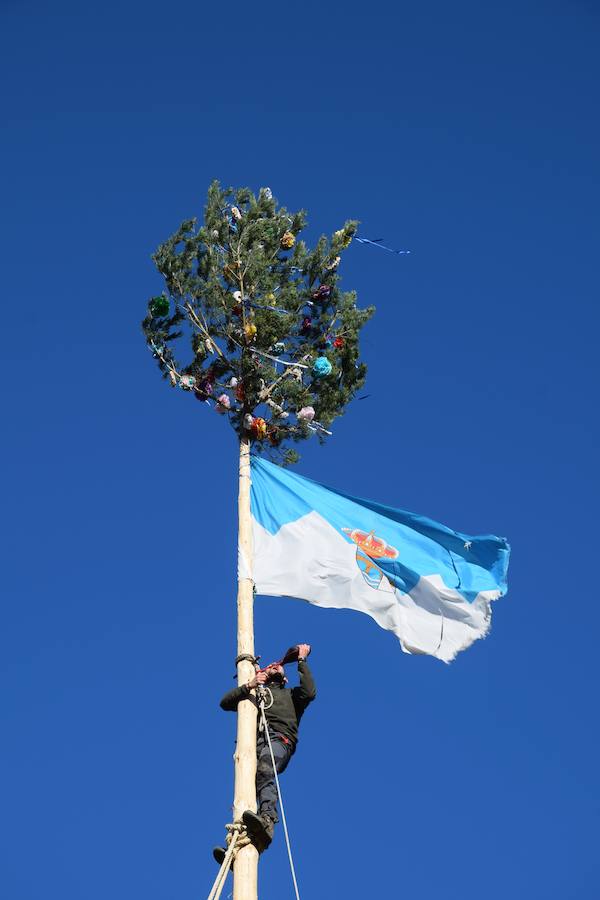 Fotos: Pinada del Mayo en Velilla del Río Carrión