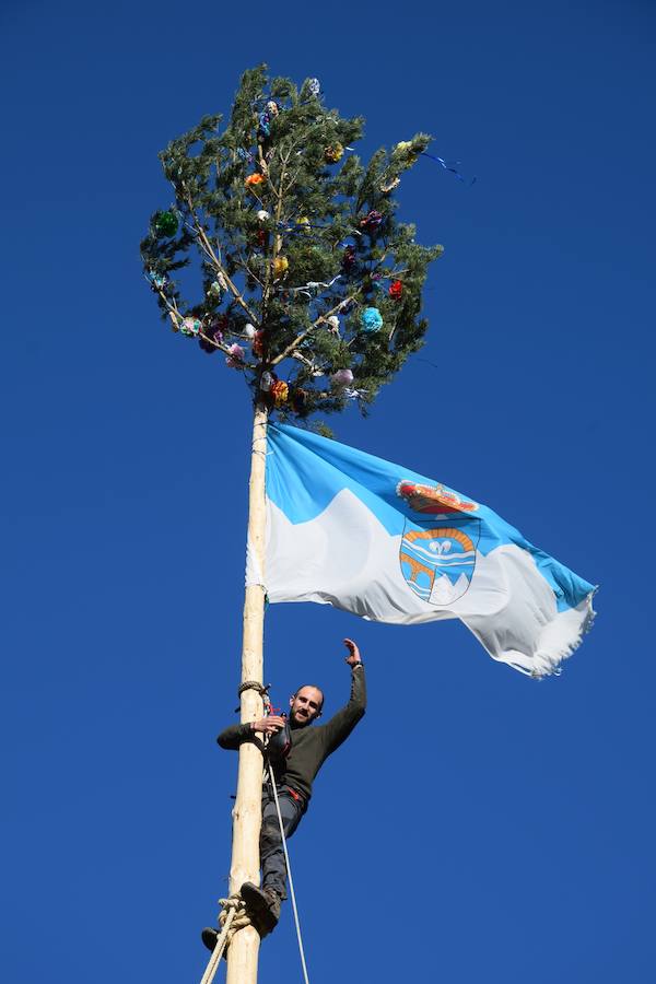 Fotos: Pinada del Mayo en Velilla del Río Carrión