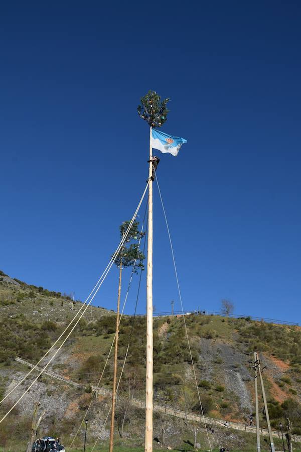 Fotos: Pinada del Mayo en Velilla del Río Carrión