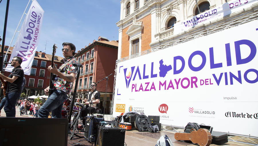 Fotos: Jornada del domingo en &#039;Valladolid, Plaza Mayor del Vino&#039;