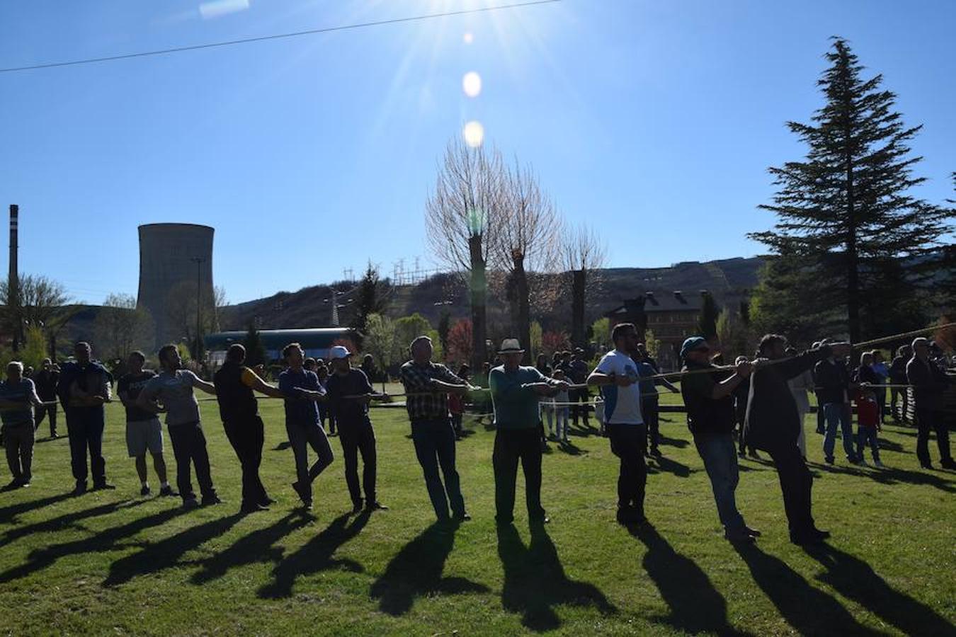 Fotos: Pinada del Mayo en Velilla del Río Carrión