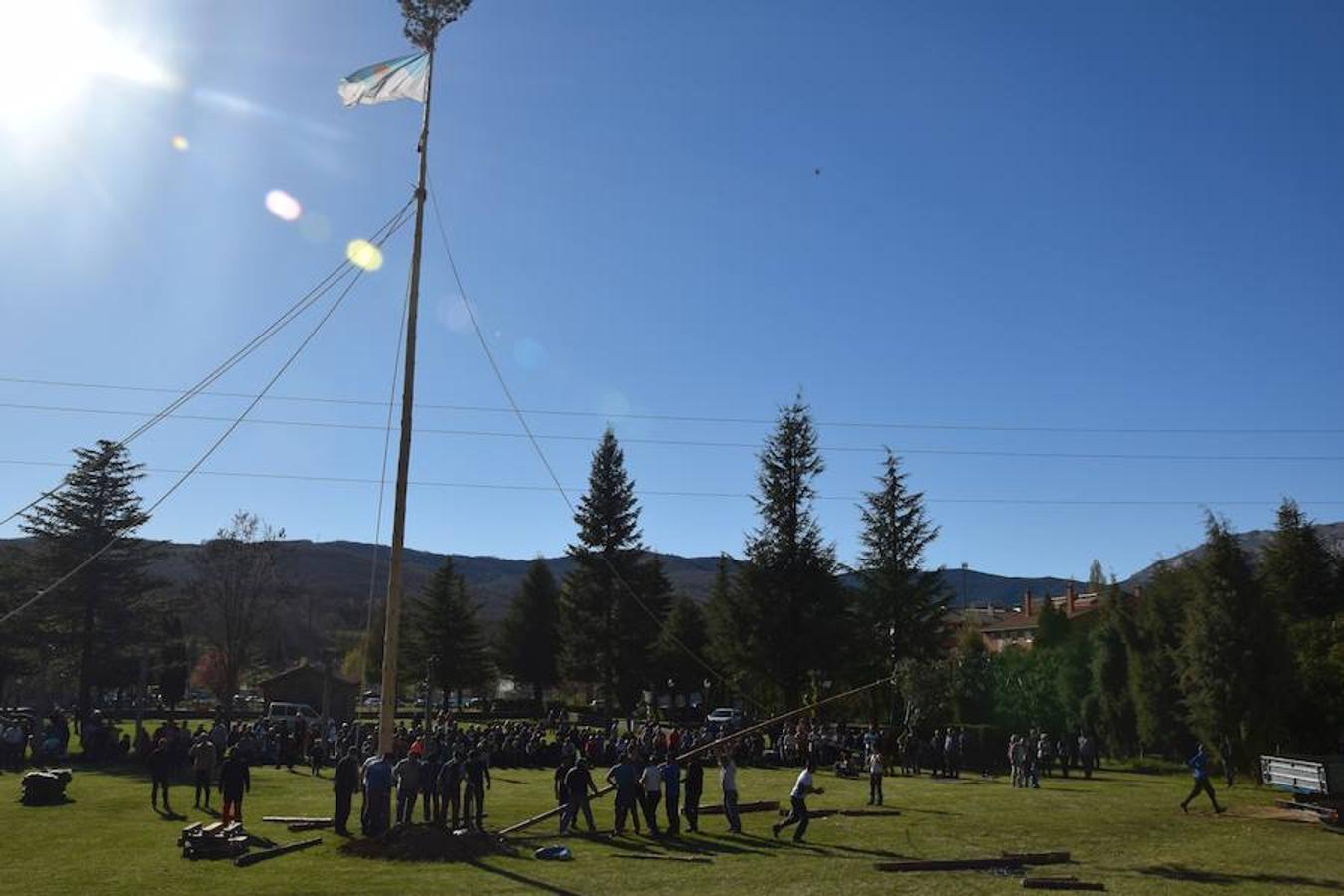 Fotos: Pinada del Mayo en Velilla del Río Carrión