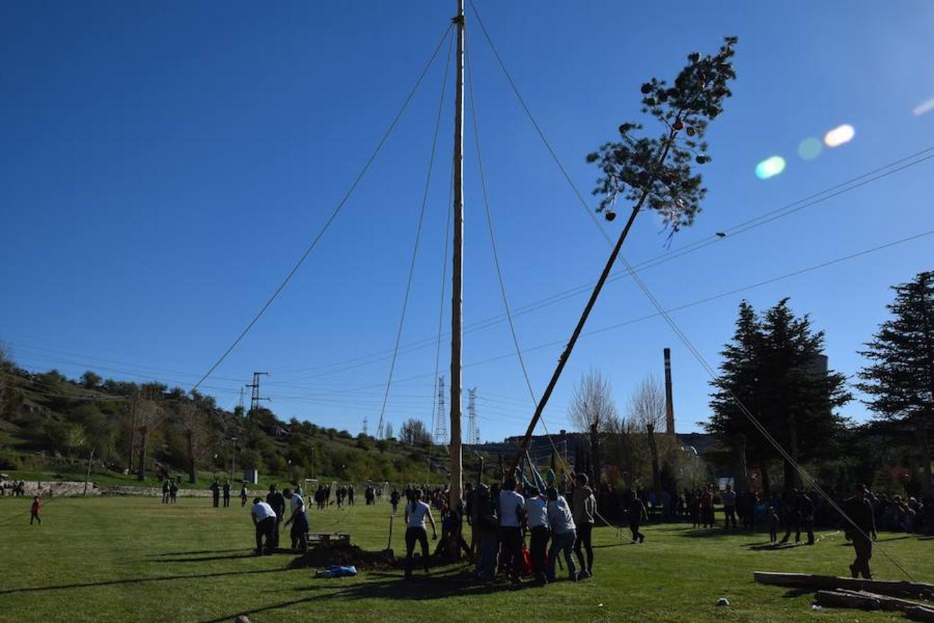 Fotos: Pinada del Mayo en Velilla del Río Carrión