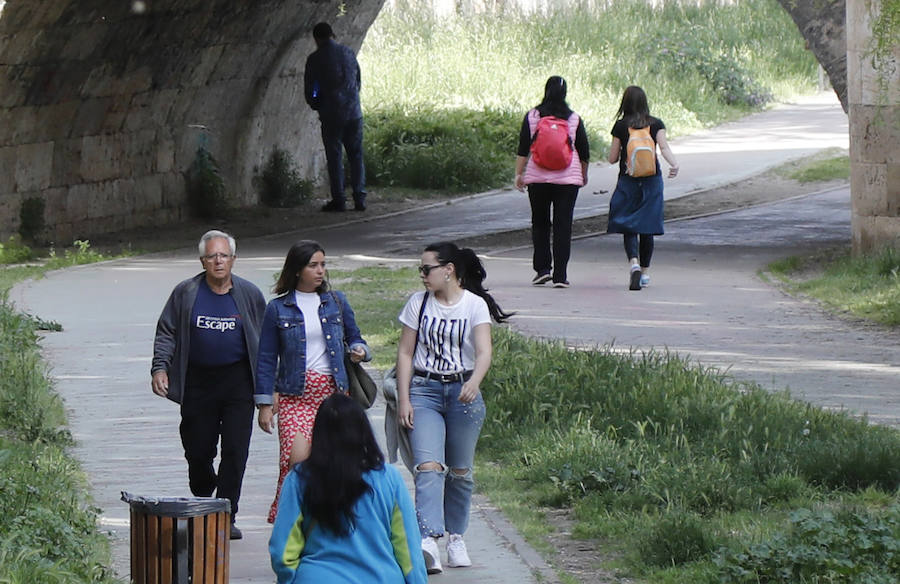 Fotos: La lluvia estropeará el buen tiempo de estos dias en Palencia