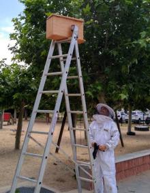Imagen secundaria 2 - Intervenciones de los Bomberos de Valladolid para recuperar enjambres.
