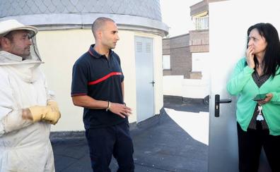 Imagen secundaria 1 - Intervenciones de los Bomberos de Valladolid para recuperar enjambres.
