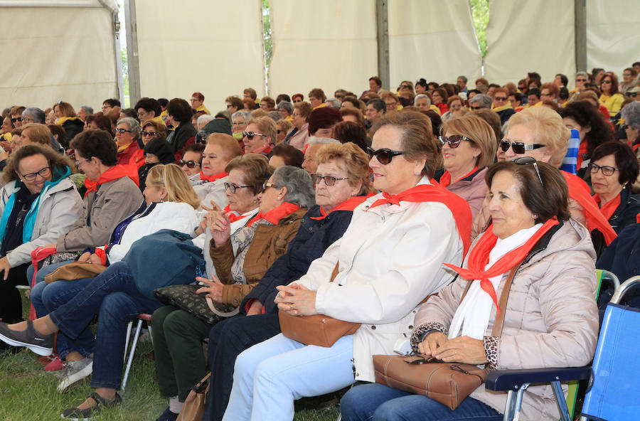 Fotos: Encuentro de participantes en las aulas de manualidades de la Diputación de Segovia.