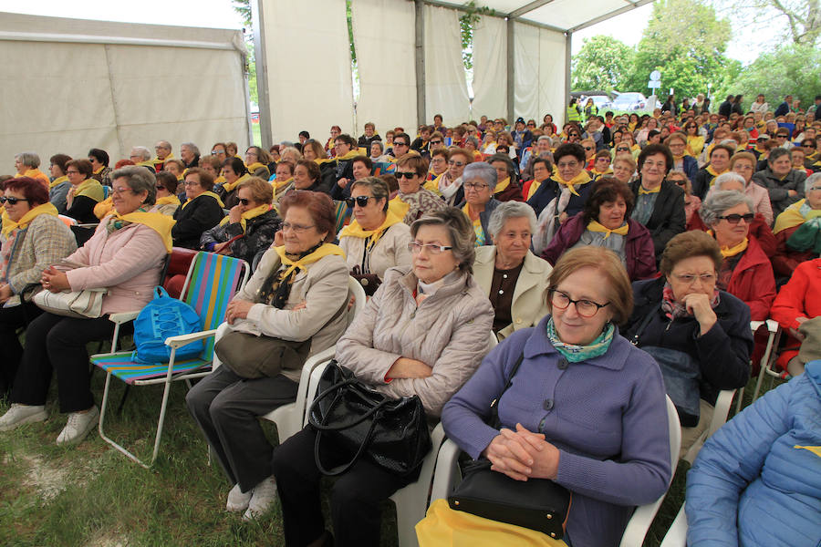 Fotos: Encuentro de participantes en las aulas de manualidades de la Diputación de Segovia.