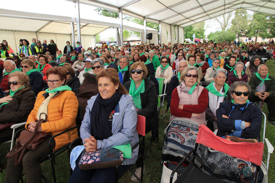 Fotos: Encuentro de participantes en las aulas de manualidades de la Diputación de Segovia.