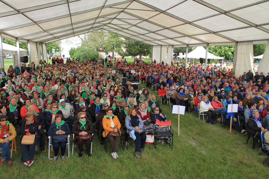 Fotos: Encuentro de participantes en las aulas de manualidades de la Diputación de Segovia.