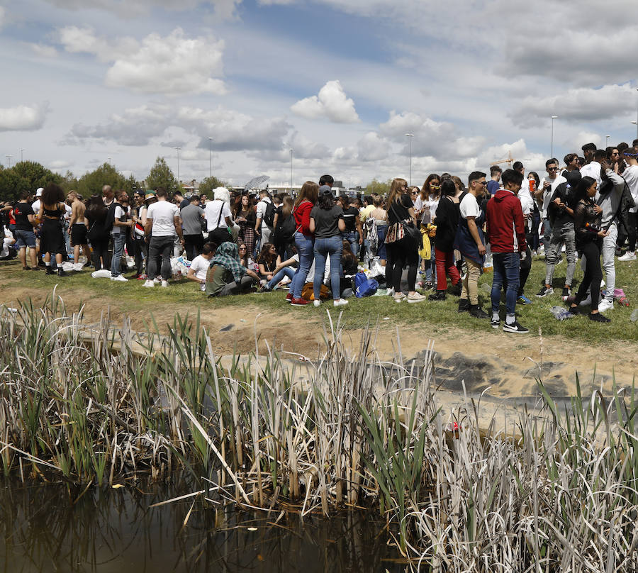 Fotos: Palencia vive una multitudinaria fiesta de la ITA (2/3)