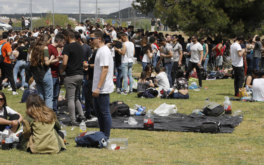 Fotos: Palencia vive una multitudinaria fiesta de la ITA (2/3)