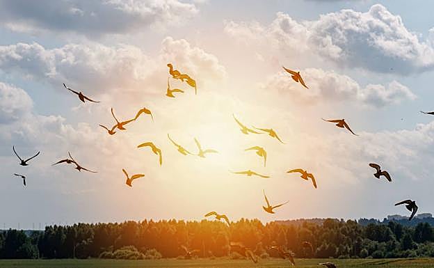 Palabras y palabros: El origen de la expresión 'írsele el santo al cielo'