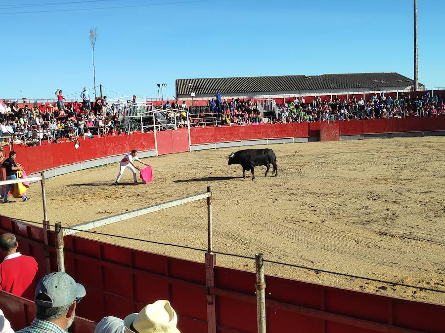 Fotos: Liga de Corte Puro en Valdestillas