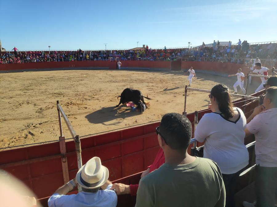 Fotos: Liga de Corte Puro en Valdestillas