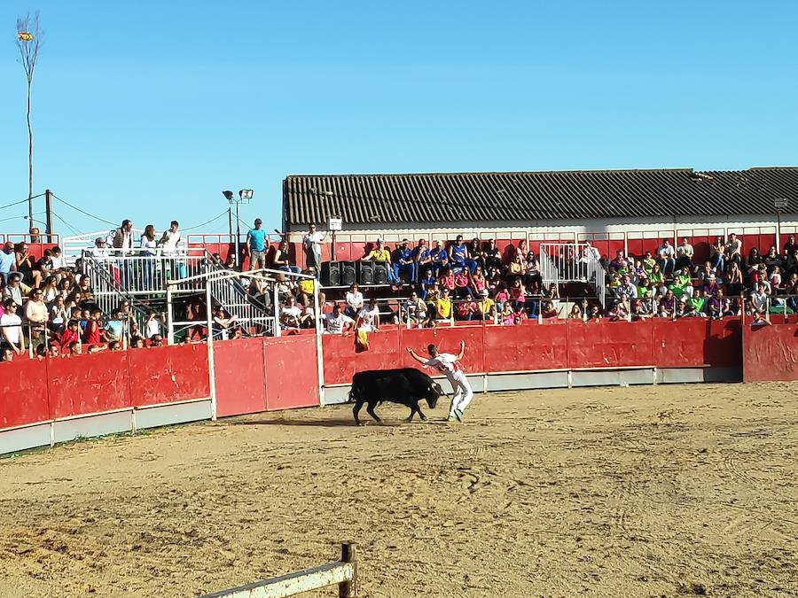 Fotos: Liga de Corte Puro en Valdestillas