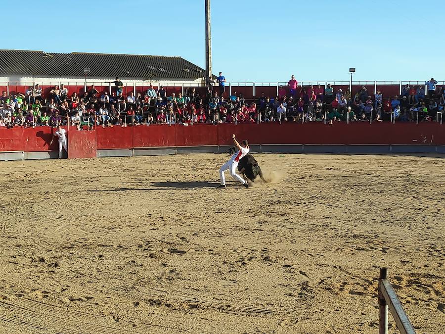 Fotos: Liga de Corte Puro en Valdestillas