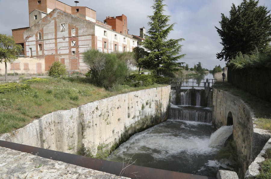 Fotos: Palencia se entrega a la marcha Aspanis
