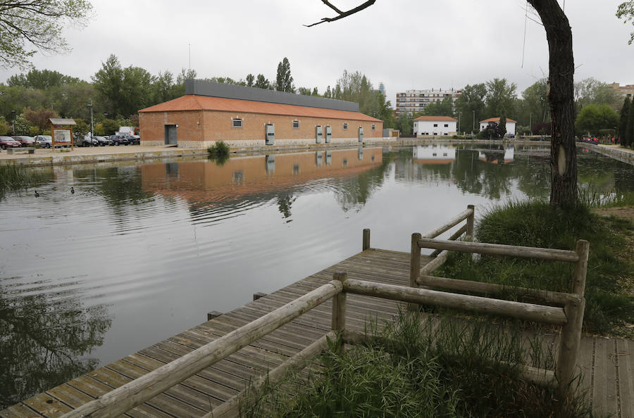 Fotos: Palencia se entrega a la marcha Aspanis