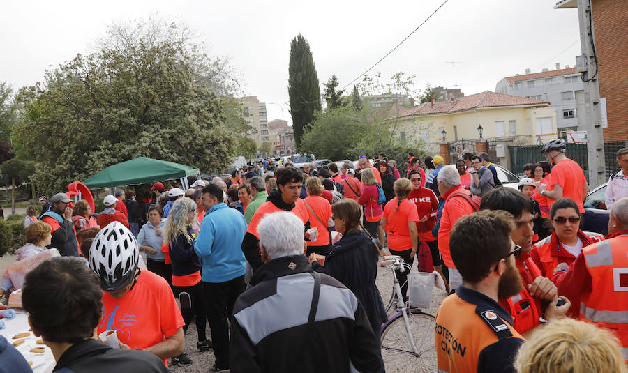 Fotos: Palencia se entrega a la marcha Aspanis