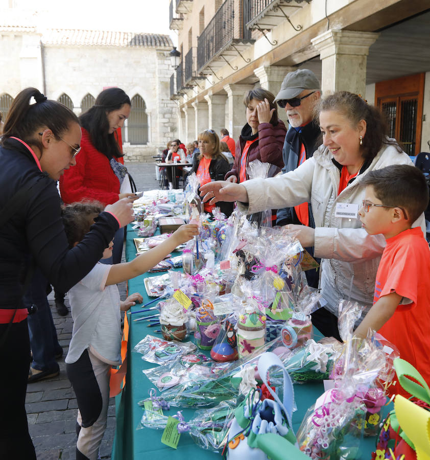 Fotos: Palencia se entrega a la marcha Aspanis