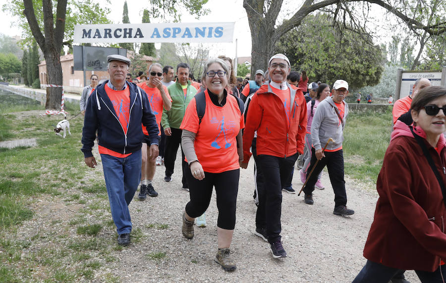 Fotos: Palencia se entrega a la marcha Aspanis
