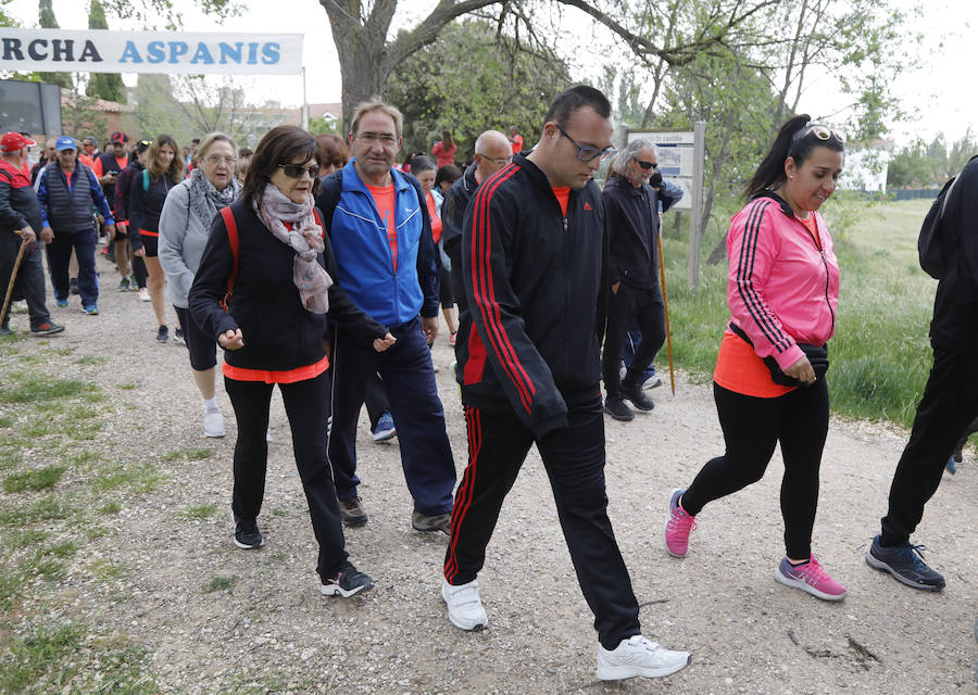 Fotos: Palencia se entrega a la marcha Aspanis