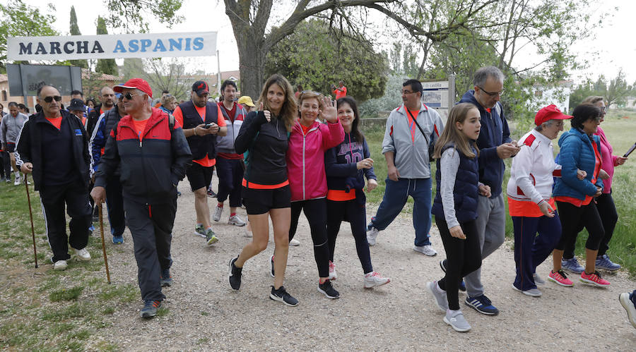 Fotos: Palencia se entrega a la marcha Aspanis