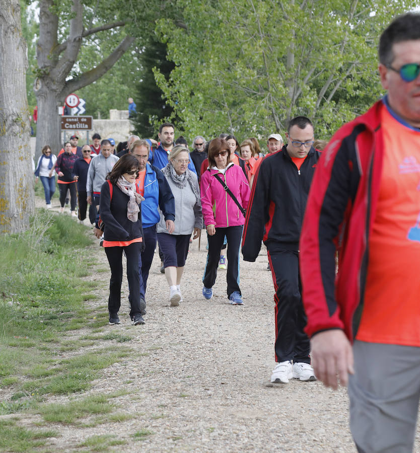 Fotos: Palencia se entrega a la marcha Aspanis