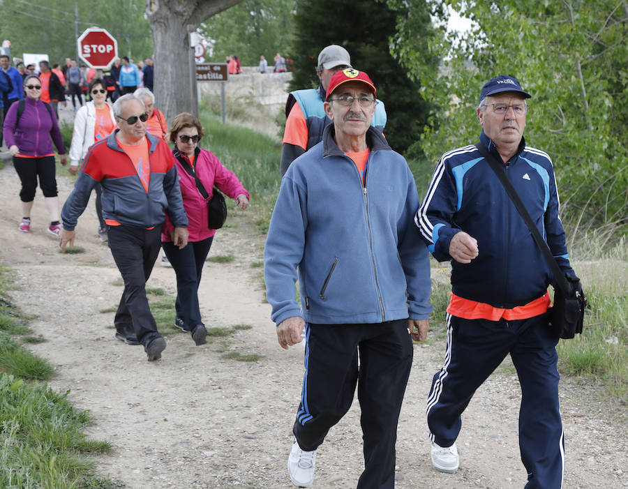 Fotos: Palencia se entrega a la marcha Aspanis