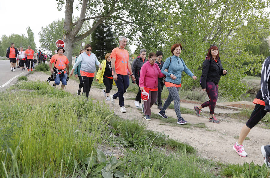 Fotos: Palencia se entrega a la marcha Aspanis
