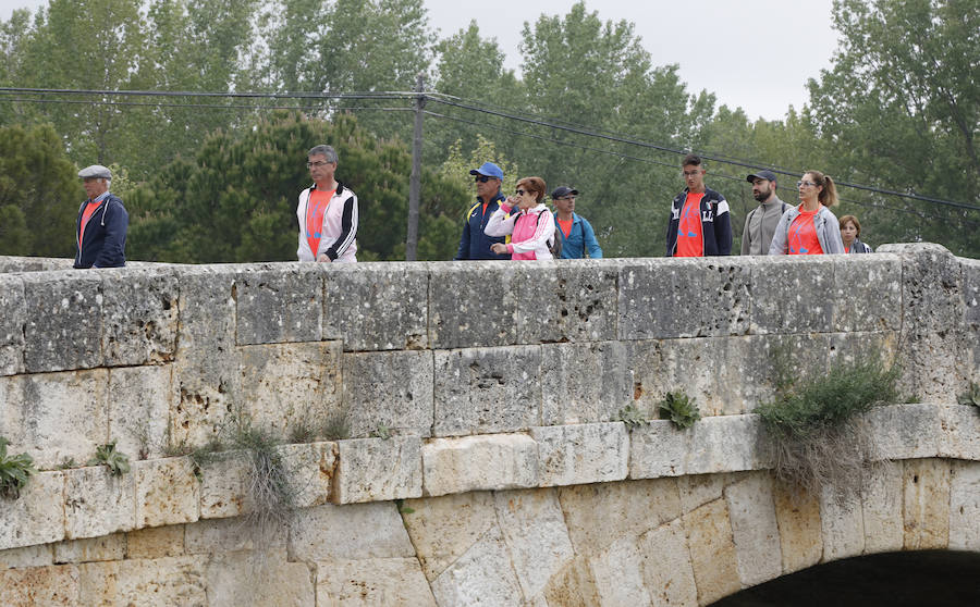 Fotos: Palencia se entrega a la marcha Aspanis