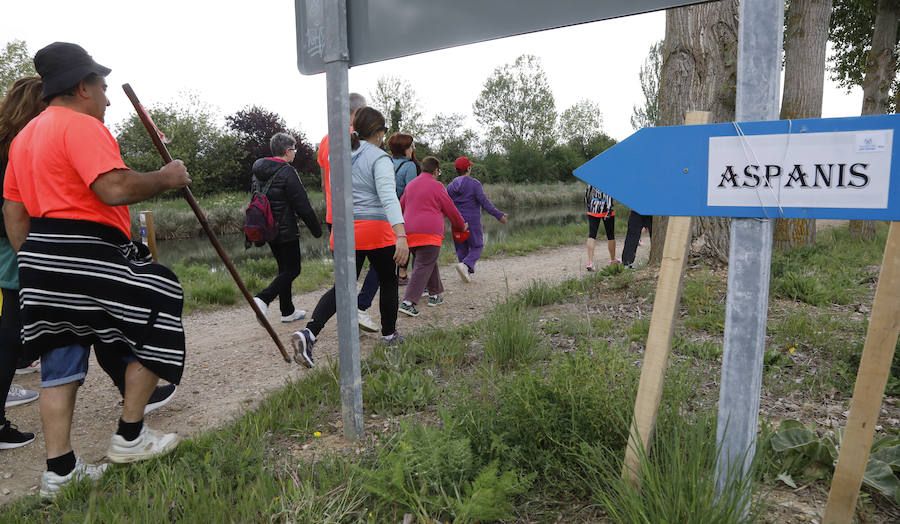 Fotos: Palencia se entrega a la marcha Aspanis