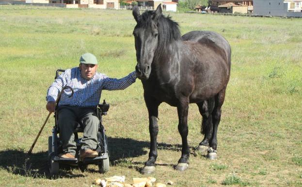 Marcelino Blázquez, en su silla de ruedas, acaricia a uno de sus caballos, al que acaba de dar de comer 