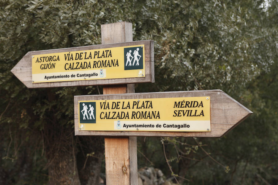 Un paseo por la Vía de la Plata, en las provincias de Salamanca y Zamora.