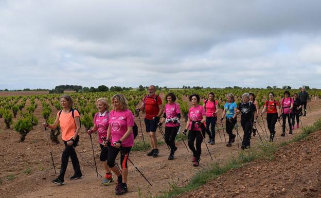 Marcha nordic entre viñedos de la Ruta del Vino Cigales. 