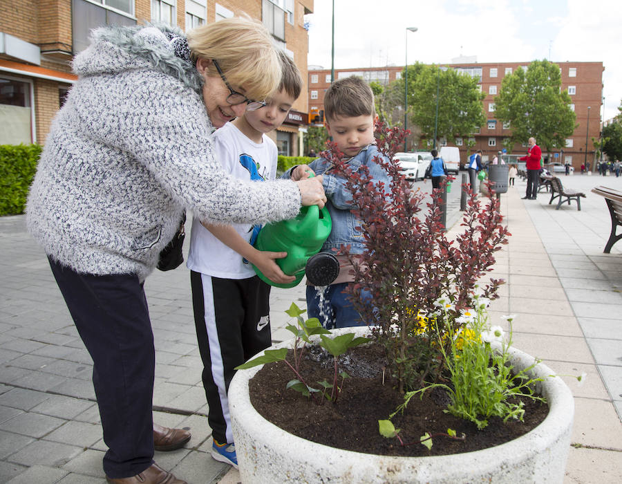 Fotos: Taller de reciclaje y plantación de macetas en La Rondilla