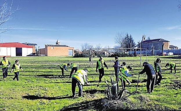 Más de 500.000 árboles para los montes de Palencia, Burgos y León