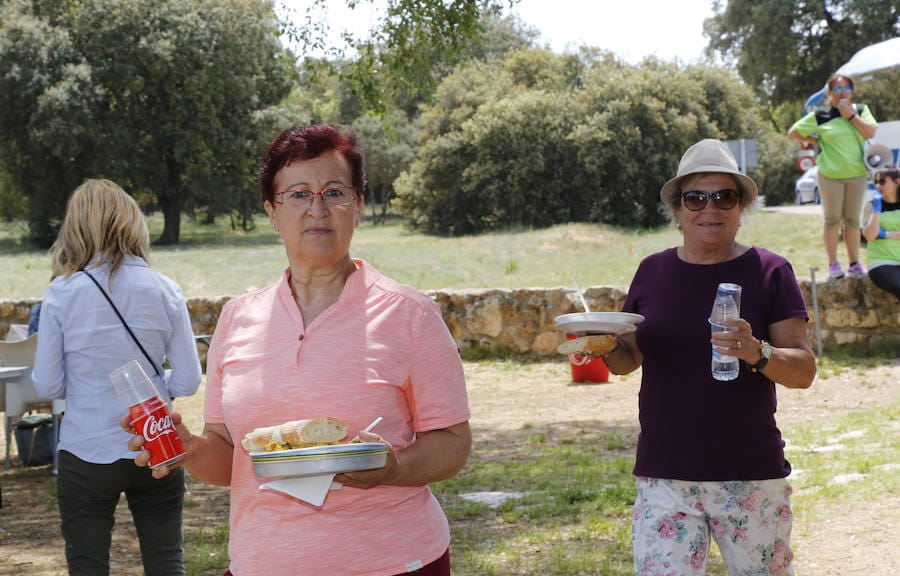 Fotos: Las aulas de mayores de Palencia clausuran el curso con una comida popular