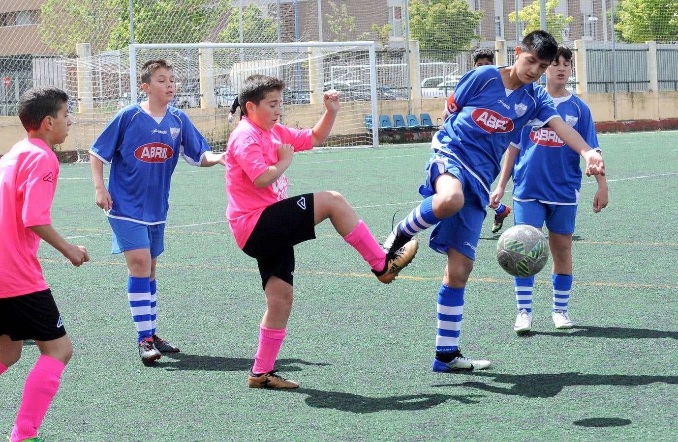 Fotos: Deporte Base del 18 y 19 de mayo. Valladolid