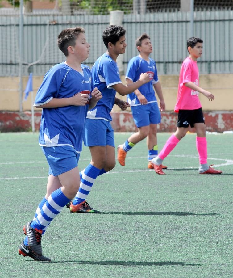 Fotos: Deporte Base del 18 y 19 de mayo. Valladolid